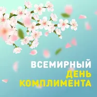 1237.webp