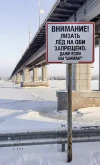 1772396552905.webp