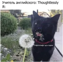 1772428719281.webp