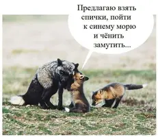 zox2wncd.webp