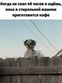711_153303_939.webp