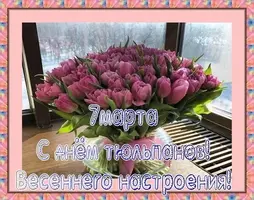 image_67c9e19283e37.webp