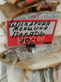20260307122523.webp