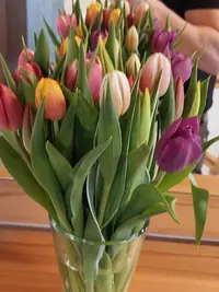 20260307_162057.webp
