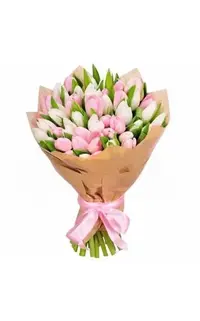 images.webp