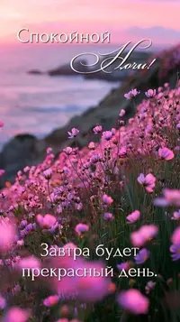 08_230338_107.webp