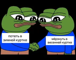 1773203369605.webp
