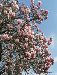 20260311_092928.webp