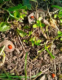 20260311-1248.webp