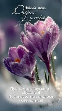 218_151815_871.webp