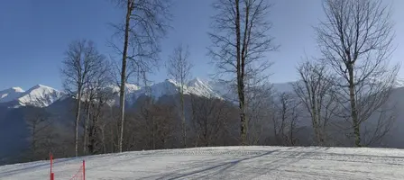 1773489758151.webp
