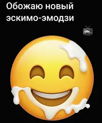 1773735498886.webp