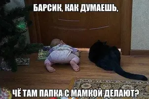 880.webp