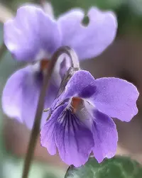 1773757179796.webp