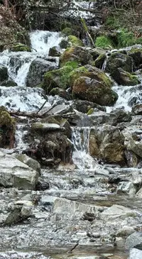 1773757602027.webp