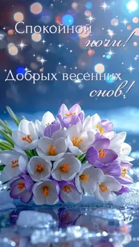 15_204638_626.webp