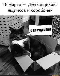 cf727750d1.webp