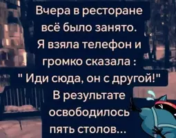 5safkvrs.webp