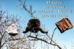 c1ecc6e354bb.webp