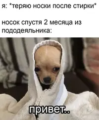 2gcew5t6_lg.webp