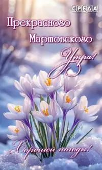 04_201939_689.webp