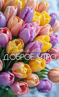 305_215538_899.webp