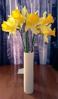 20260327-1014.webp