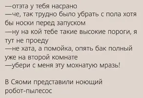 IMG_8342.webp