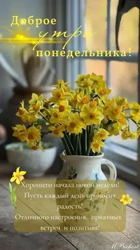316_155849_768.webp