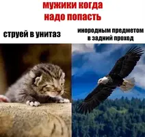 4mxewhuv_lg.webp