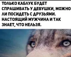 IMG_20260330_112524.webp