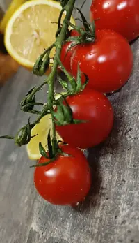 20260330-1843.webp