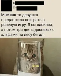 402_225510_734.webp