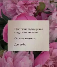 7г7.webp