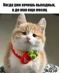 lwmg76he_lg.webp