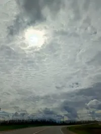 20260405-1777.webp