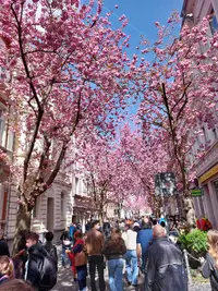 20260406_125234.webp