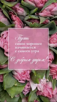 16_155857_399.webp