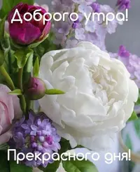 17_232944_346.webp