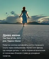 6.webp