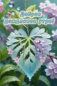 4c9c3c536b.webp