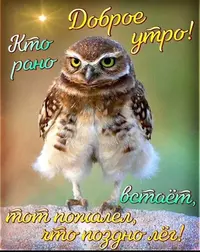 9_072309_958.webp