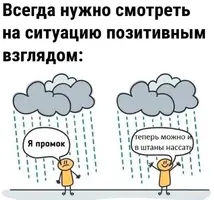 231.webp