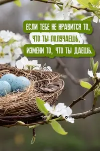 407_155341_601.webp