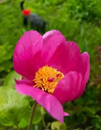 0260418-1400.webp