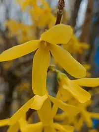 20260418115154.webp