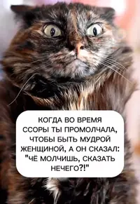 IMG_20260420_221723.webp