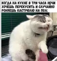 0260422-1224.webp