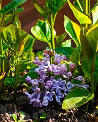 20260423-0916.webp