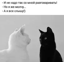 20260423_125122.webp